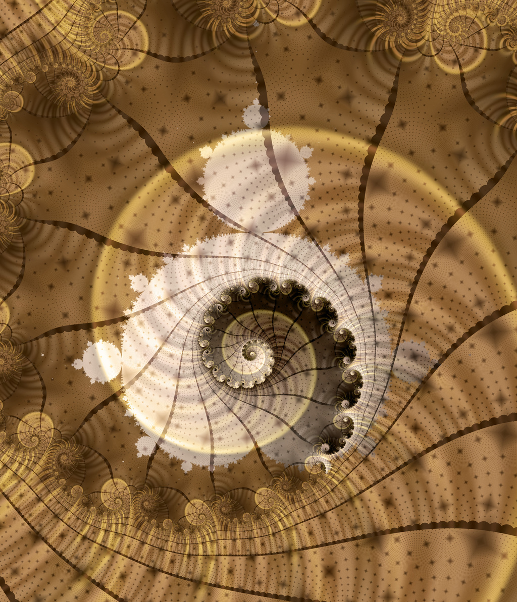 Fossil+luminosity.jpg