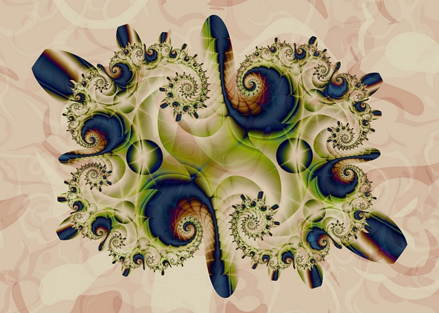 Roly-Poly-Splat.jpg
